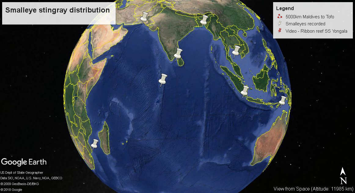 Smalleye distribution Created with Google Earth Pro